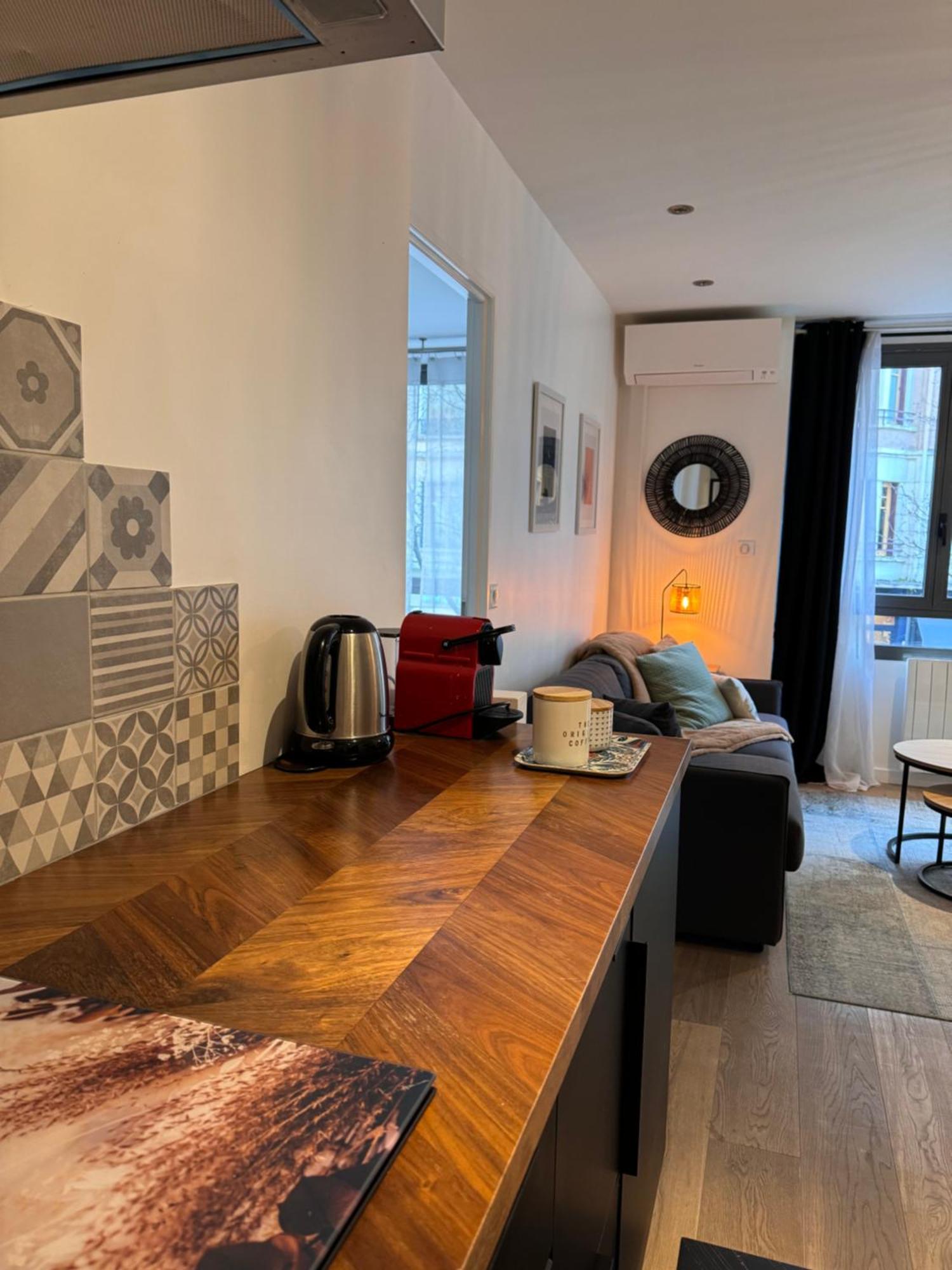"Le Petit Bonlieu" Au Centre Ville Et A 300 M Du Lac Annecy Exteriör bild